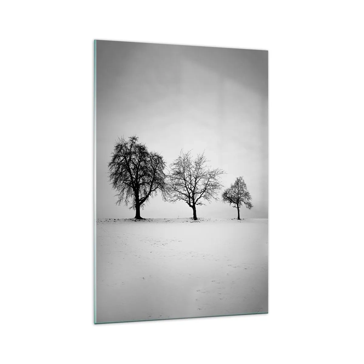 Glasbild - Bild auf glas - Drei Bäume auf einem schneebedeckten Feld im monochromen Stil - 70x100cm - Wovon träumen sie? - Moderne Wanddekoration für Wohnzimmer und Schlafzimmer ARTTOR
