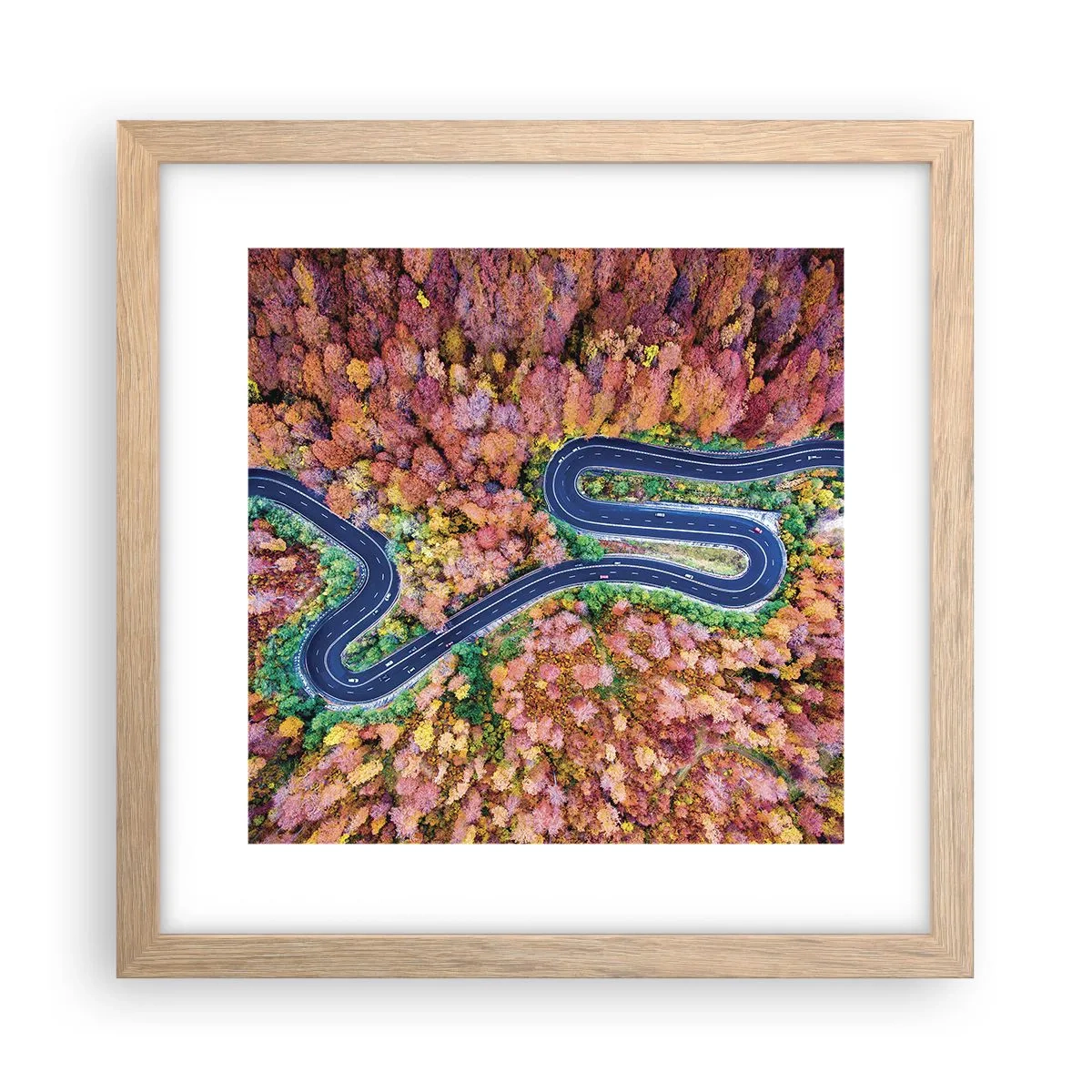 Poster in einem Rahmen aus heller Eiche - Kurvenreicher Weg durch den Wald - 30x30 cm