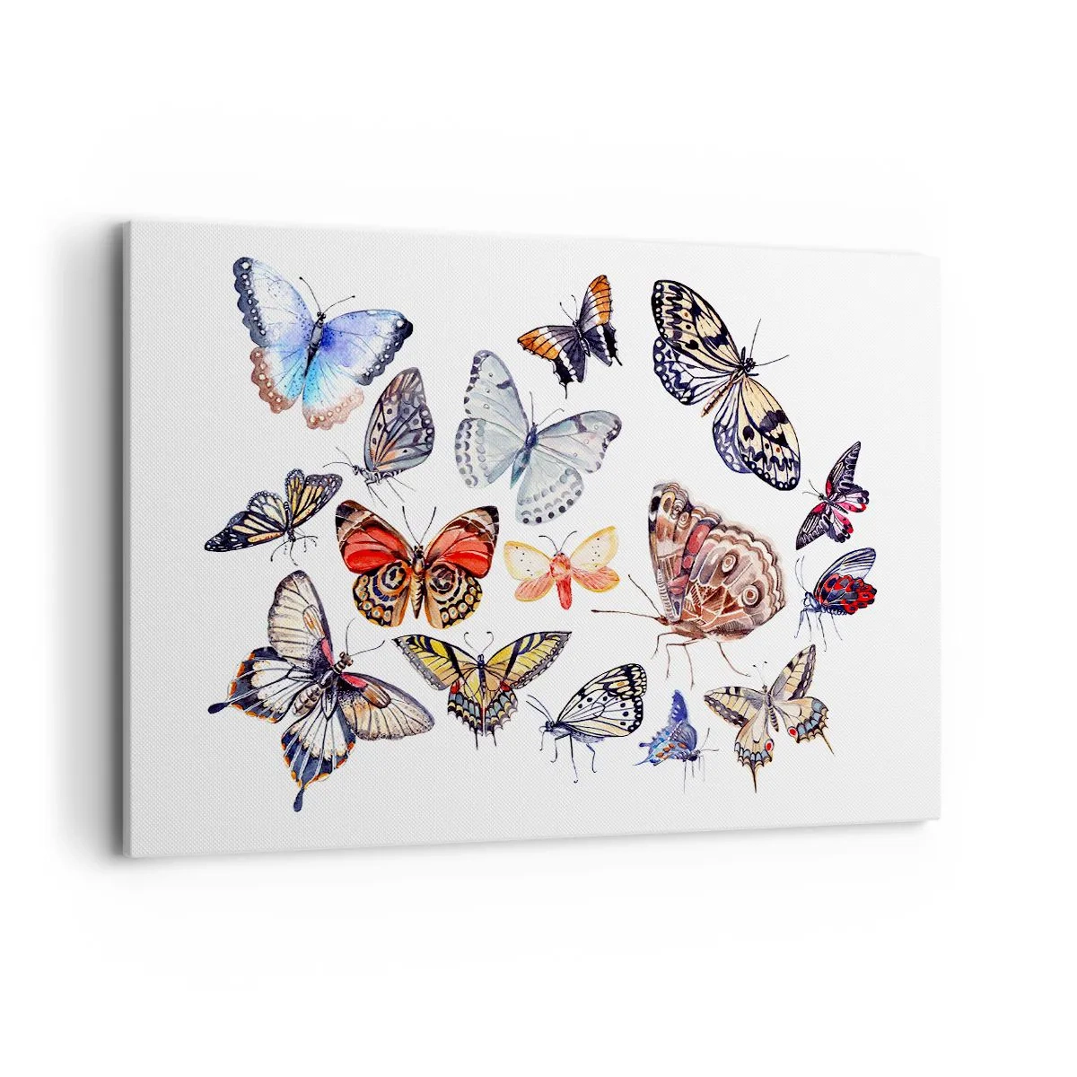 Bild auf Leinwand - Leinwandbild - Bunte Schmetterlinge auf weißem Hintergrund - 120x80cm - Spitzen, bunter Schwarm - Moderne Wanddekoration für Wohnzimmer und Schlafzimmer ARTTOR