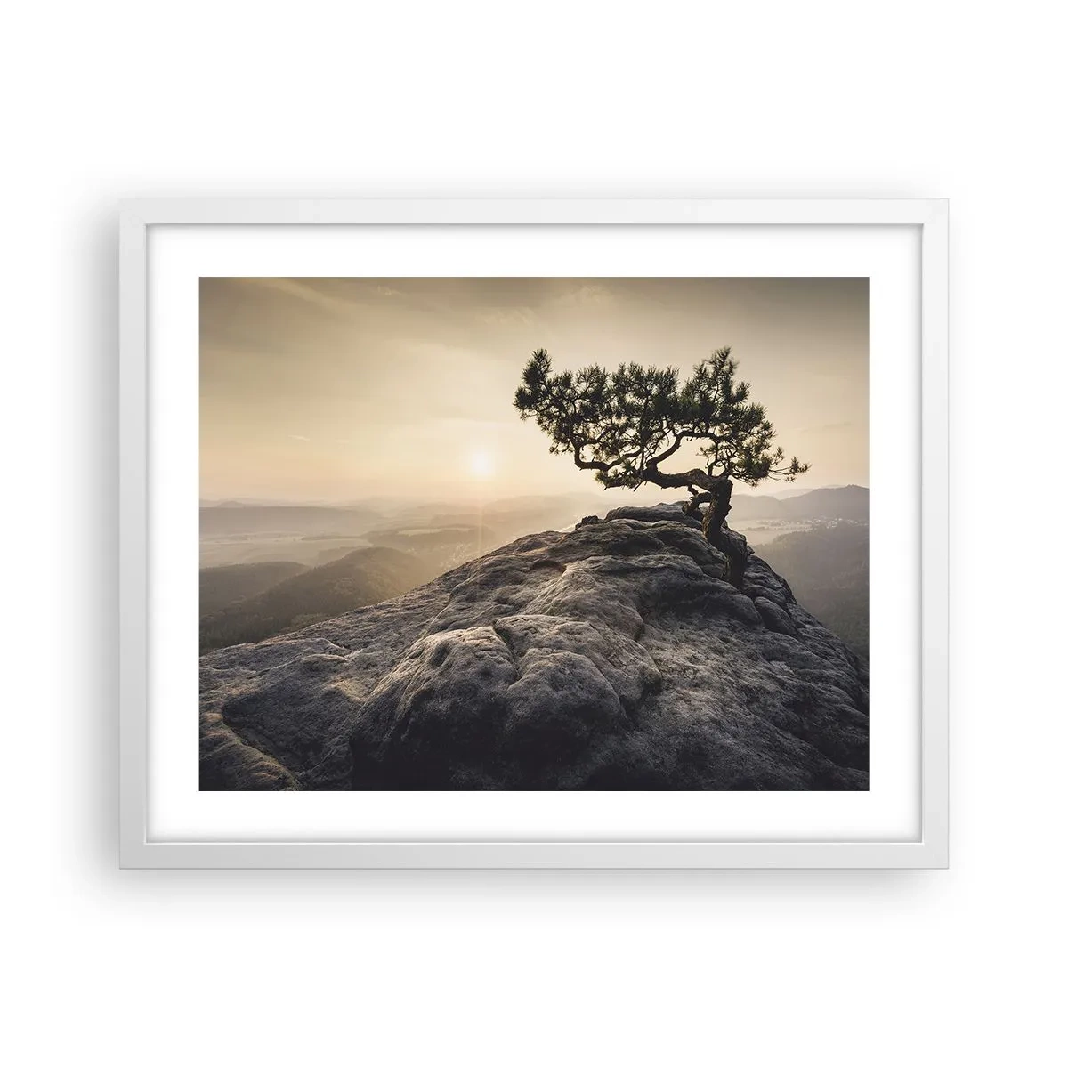 Poster in einem weißen Rahmen - Das Leben gewinnt immer - 50x40 cm