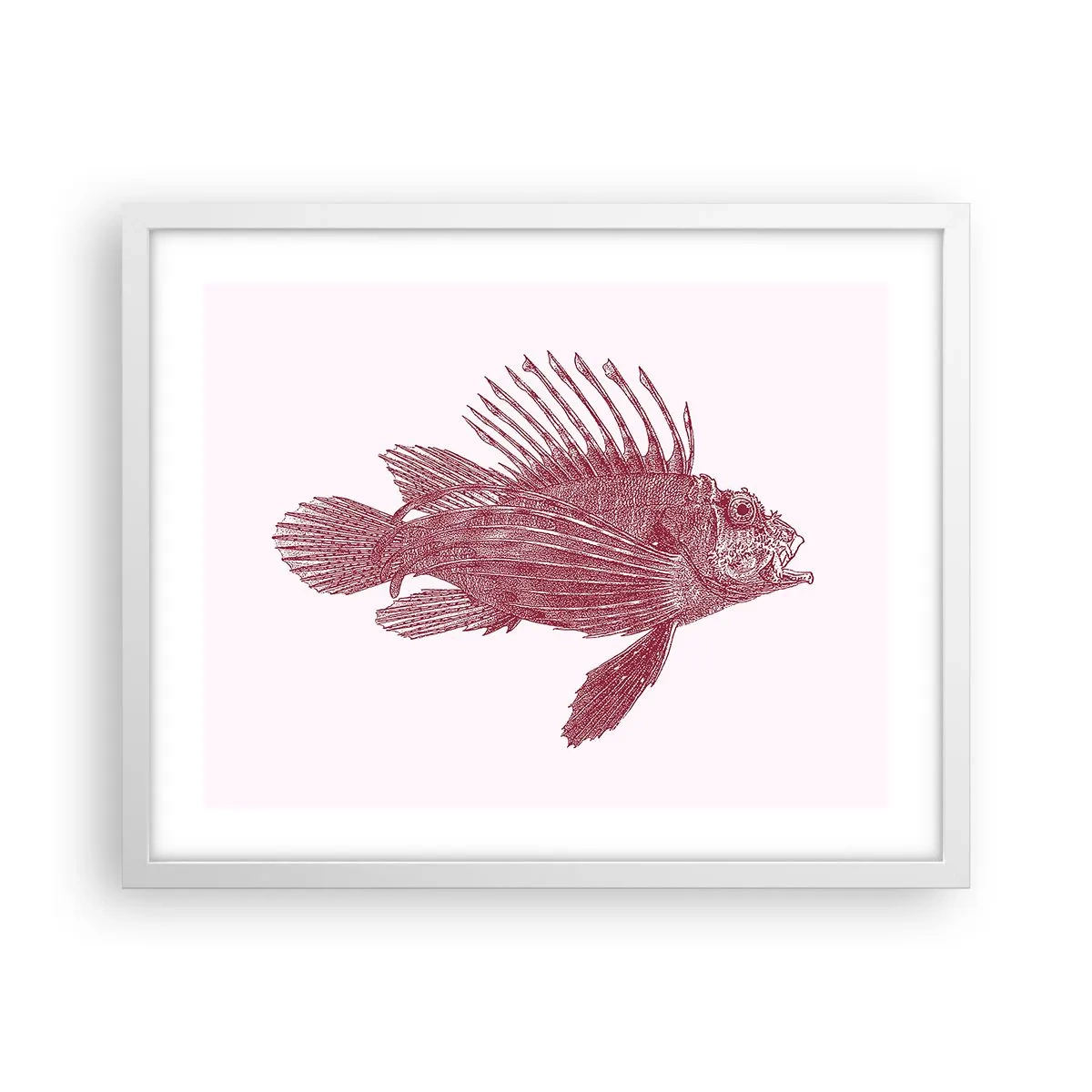 Poster in einem weißen Rahmen - Bewohner exotischer Gewässer - 50x40 cm