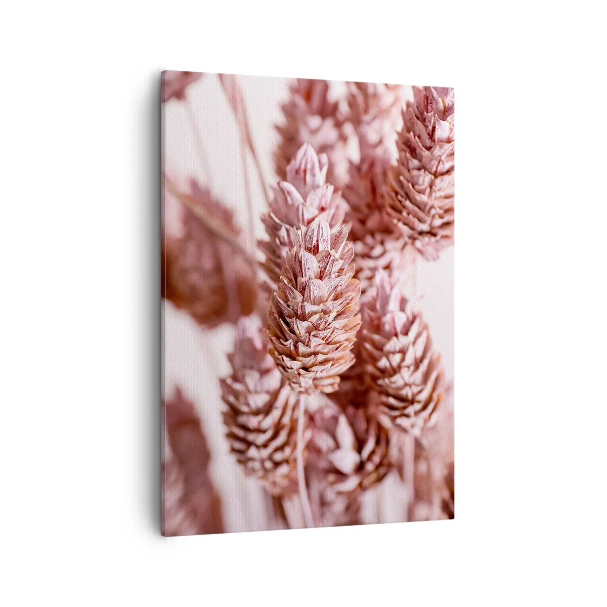 Bild auf Leinwand - Leinwandbild - Eine Nahaufnahme der zarten rosa Ähren von Ziergräsern - 50x70cm - Scheinbar unauffällig - Moderne Wanddekoration für Wohnzimmer und Schlafzimmer ARTTOR