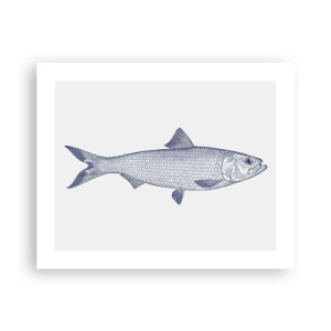 Poster - Grüße aus den nördlichen Meeren - 50x40 cm