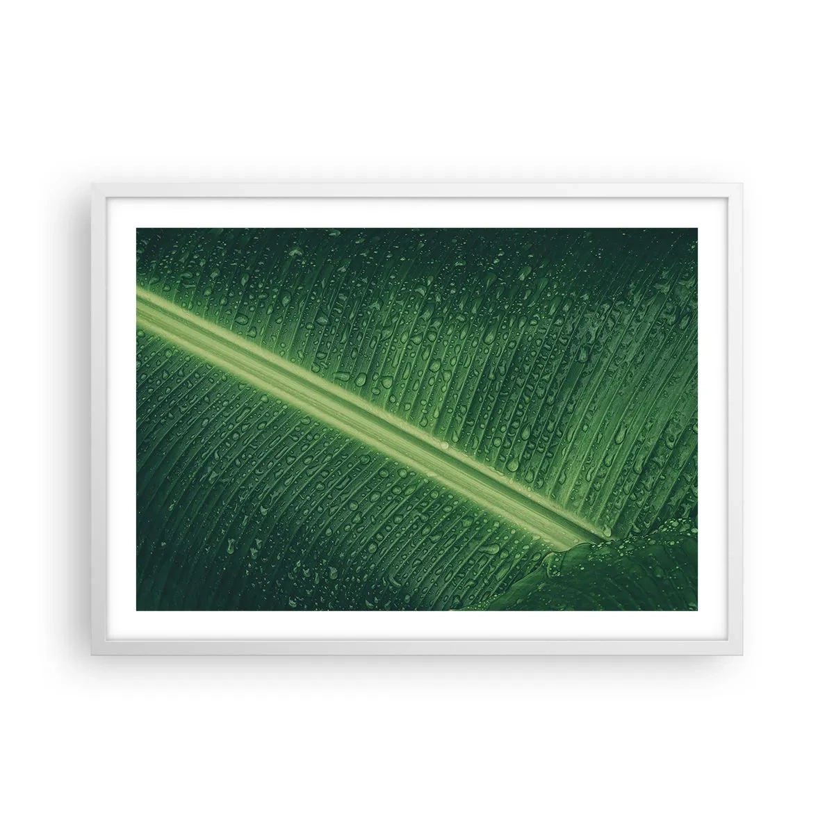 Poster in einem weißen Rahmen - Die Struktur des Grüns - 70x50 cm