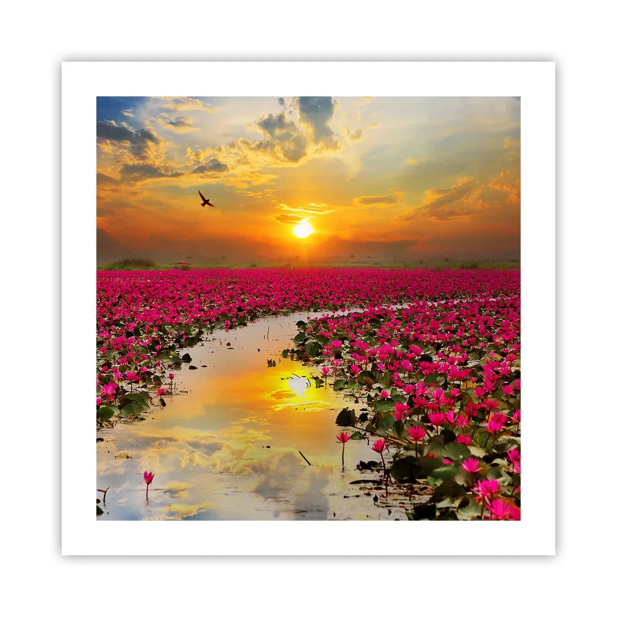 Poster - Das geheime Leben des Sees - 50x50 cm