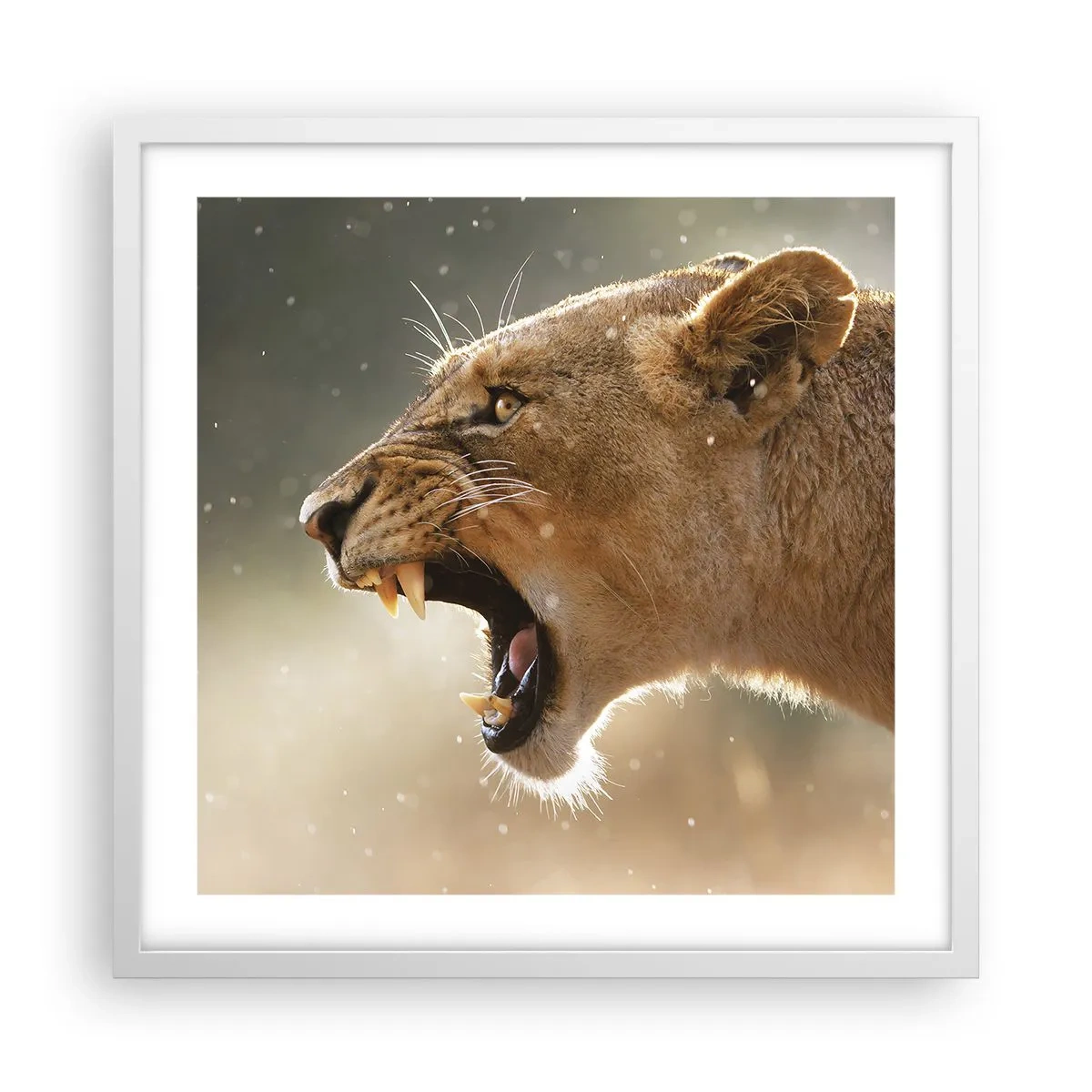 Poster in einem weißen Rahmen - Versuch, nicht zuzuhören - 50x50 cm