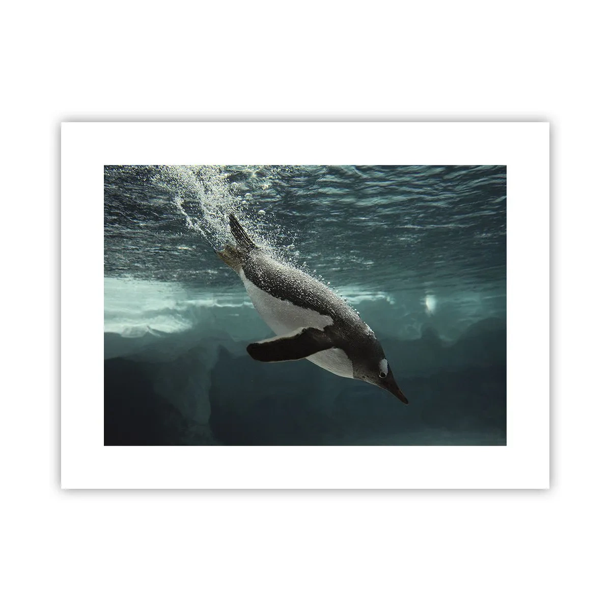 Poster - Willkommen in meiner Welt - 40x30 cm