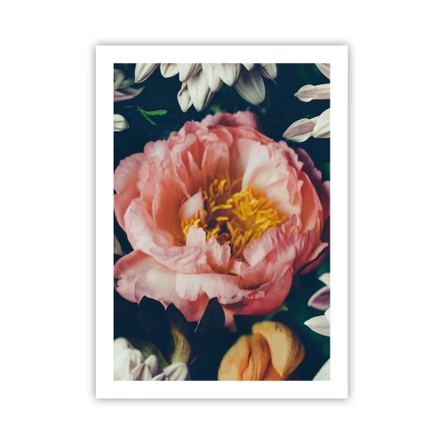 Poster - Eine rosa Blume mit einer gelben Mitte, umgeben von anderen Blumen - 50x70cm - Mit barocker Pracht - Moderne Wanddekoration für Wohnzimmer und Schlafzimmer ARTTOR