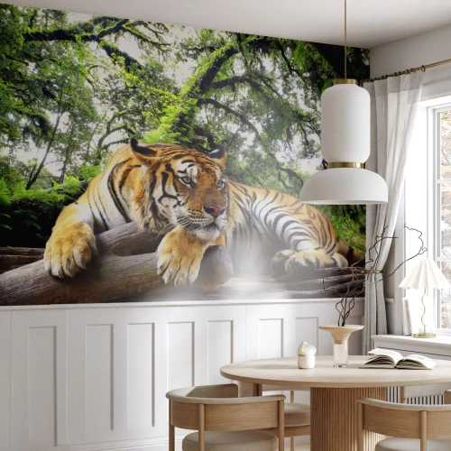 Selbstklebende Fototapete Deluxe Sticker - Hochachtungsvoll - Tiger, Tiere, Raubtier - 500x350 cm