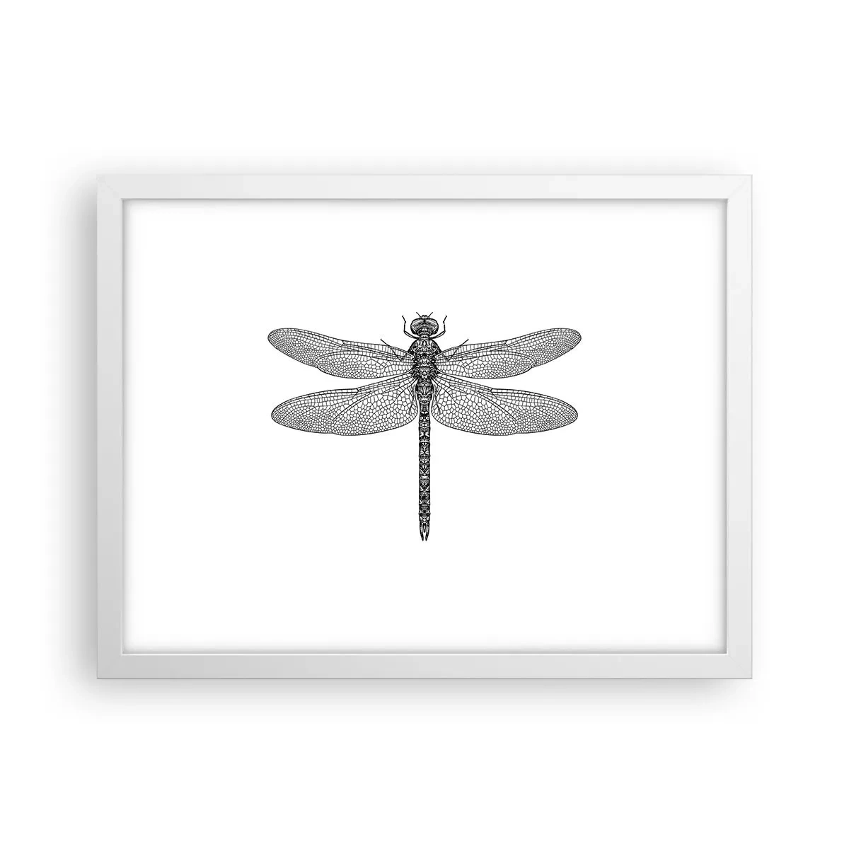 Poster in einem weißen Rahmen - Präzision der Natur - 40x30 cm