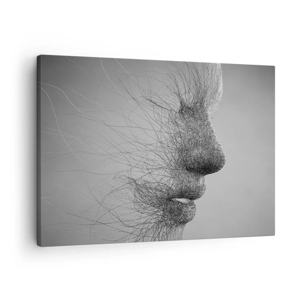 Bild auf Leinwand - Leinwandbild - Künstlerisches Gesichtsprofil mit zarten Linien - 70x50cm - Der Geist des Windes - Moderne Wanddekoration für Wohnzimmer und Schlafzimmer ARTTOR