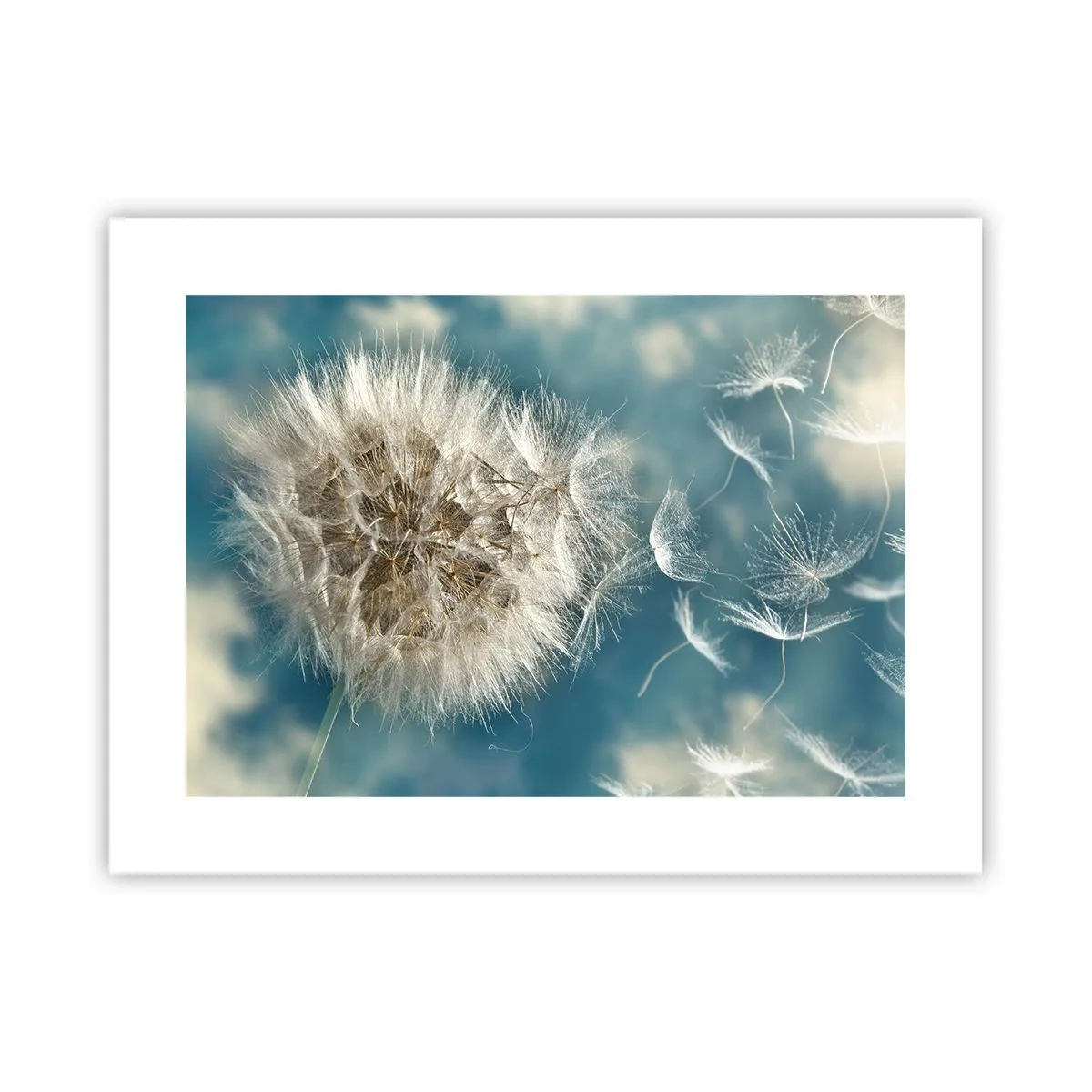 Poster - Engelsatem - 40x30 cm