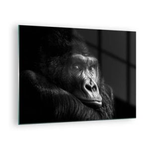 Glasbild - Bild auf glas - Schwarz-Weiß-Porträt eines Gorillas im Schatten eines Fensters - 70x50cm - Und was guckst du so? - Moderne Wanddekoration für Wohnzimmer und Schlafzimmer ARTTOR