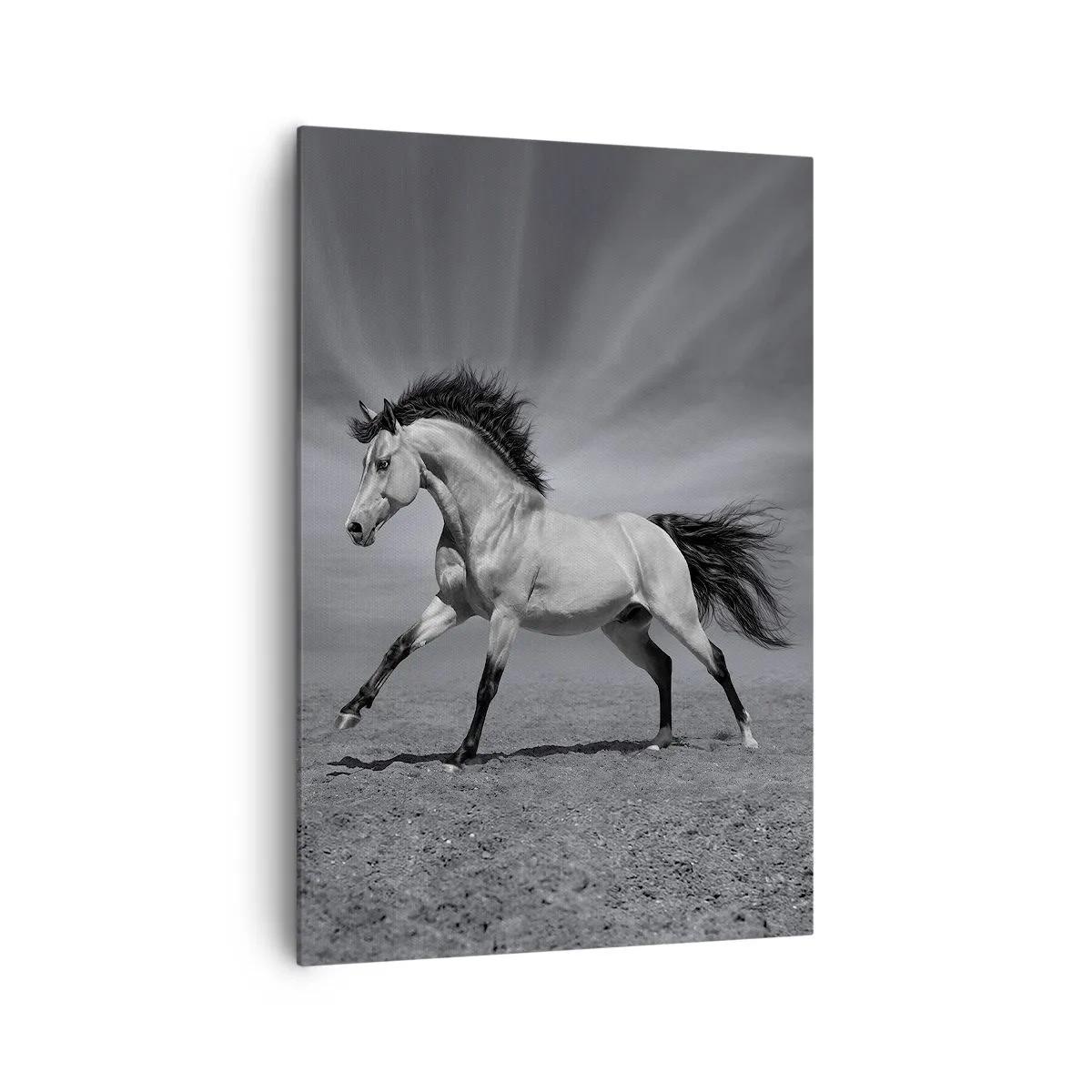 Bild auf Leinwand - Leinwandbild - Ein schwarz-weißes Pferd in einer dynamischen Pose in der Wüste. - 70x100cm - Geboren um Freude zu bereiten - Moderne Wanddekoration für Wohnzimmer und Schlafzimmer ARTTOR