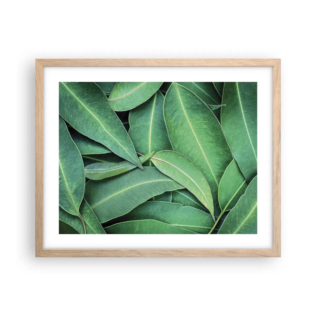 Poster in einem Rahmen aus heller Eiche - Saftig und frisch - 50x40 cm