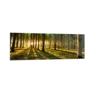 Glasbild - Bild auf glas - Die untergehende Sonne im Laubwald - 160x50cm - Alle Frühlingsfotografie - Moderne Wanddekoration für Wohnzimmer und Schlafzimmer ARTTOR