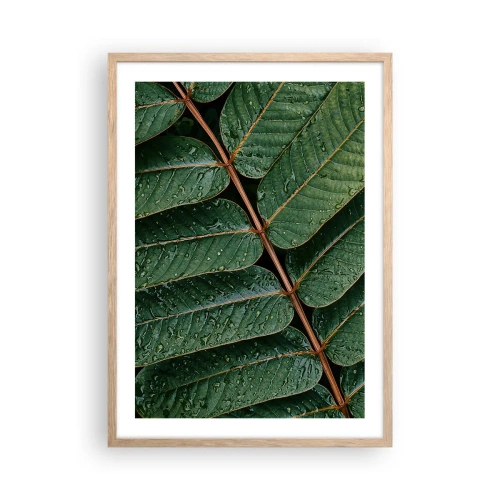 Poster in einem Rahmen aus heller Eiche - Im grünen Rhythmus - 50x70 cm