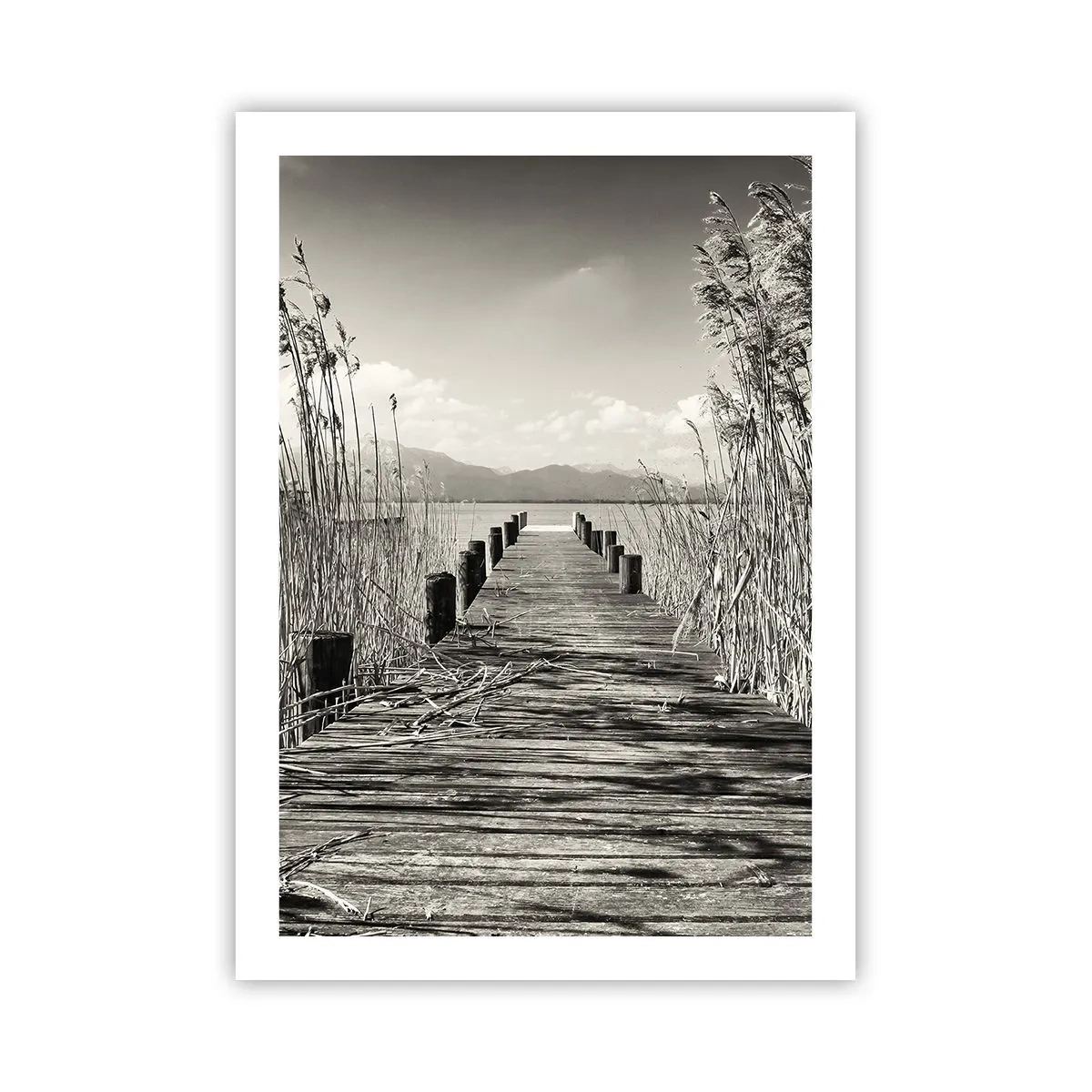 Poster - Eine Holzbrücke im Schilf über einem sepiafarbenen See - 50x70cm - In der Stille des Grases - Moderne Wanddekoration für Wohnzimmer und Schlafzimmer ARTTOR