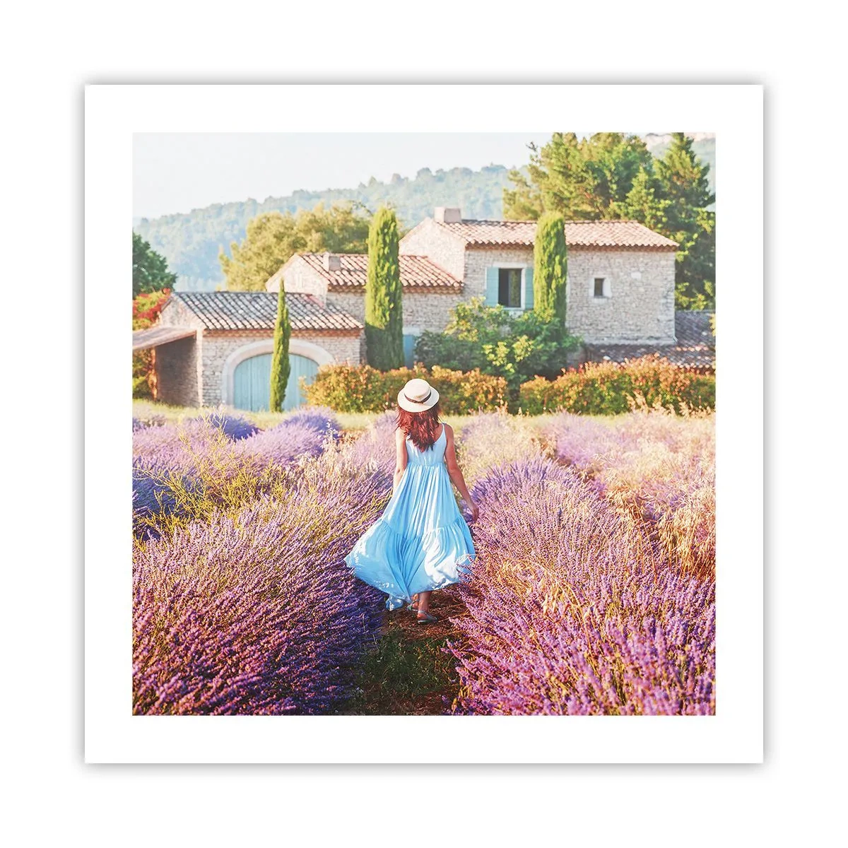 Poster - Lavendel Mädchen - 50x50 cm