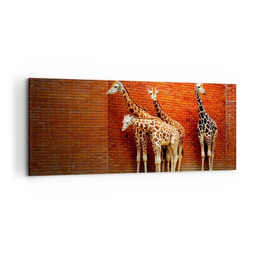 Bild auf Leinwand - Leinwandbild - Vier Giraffen vor einer Ziegelwand in künstlerischer Umgebung - 120x50cm - Sehen Sie Akazien? - Moderne Wanddekoration für Wohnzimmer und Schlafzimmer ARTTOR