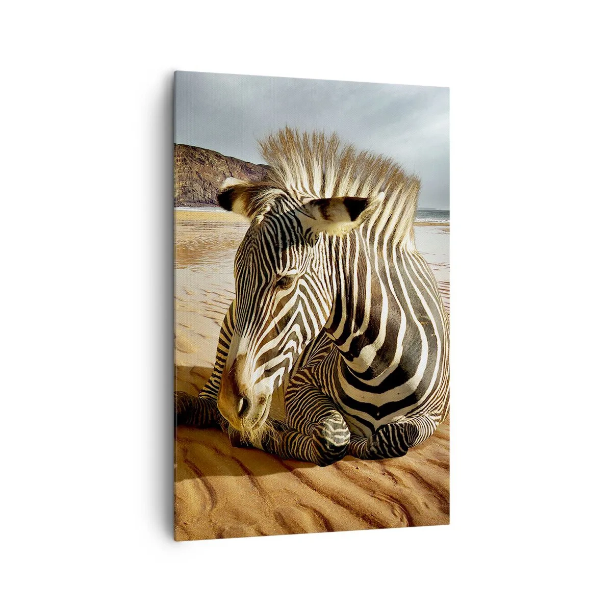 Bild auf Leinwand - Leinwandbild - Ein Zebra ruht sich an einem Sandstrand mit Klippen im Hintergrund aus. - 80x120cm - Wir passen zusammen - Moderne Wanddekoration für Wohnzimmer und Schlafzimmer ARTTOR