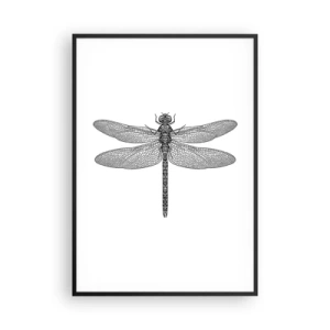 Poster in einem schwarzem Rahmen - Präzision der Natur - 70x100 cm