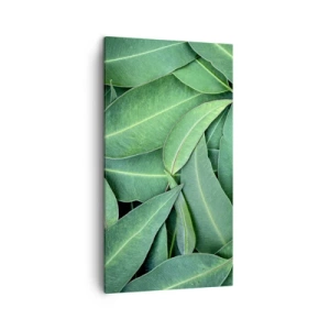 Bild auf Leinwand - Leinwandbild - Saftig und frisch - 45x80 cm