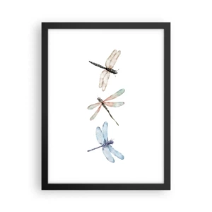 Poster in einem schwarzem Rahmen - Schwerelose Libellen - 30x40 cm