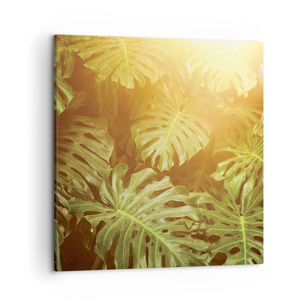 Bild auf Leinwand - Leinwandbild - Ins Grüne tretren... - 50x50 cm