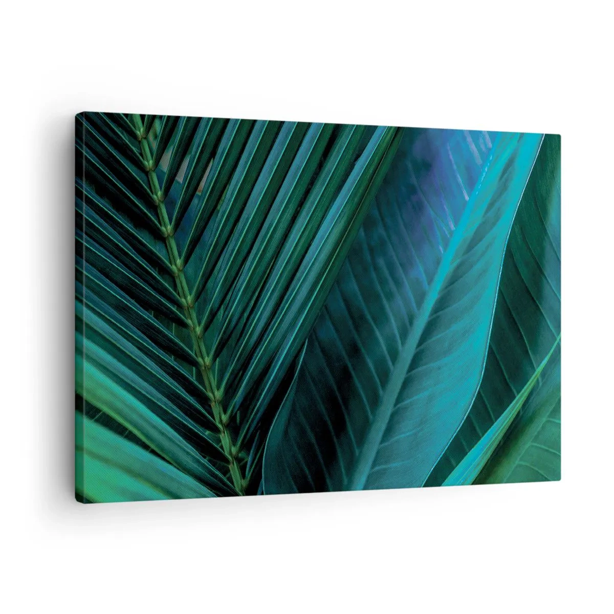 Bild auf Leinwand - Leinwandbild - Nahaufnahme von tropischen grünen Blättern - 70x50cm - Die Anatomie des Grüns - Moderne Wanddekoration für Wohnzimmer und Schlafzimmer ARTTOR
