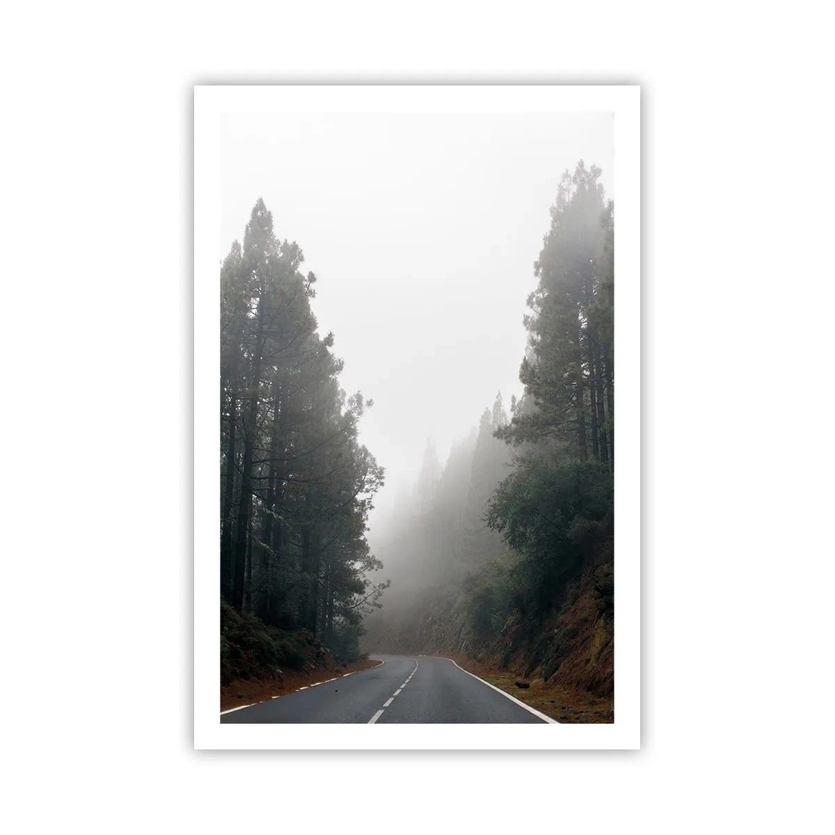 Poster - Eine Geschichte von einem magischen Wald - 61x91 cm