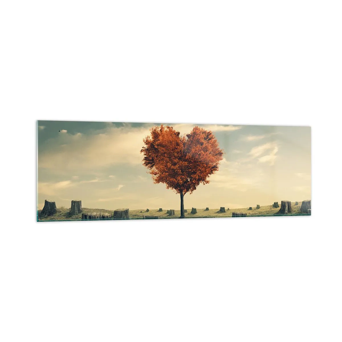 Glasbild - Bild auf glas - Ein herzförmiger Baum in einem Feld aus Baumstümpfen, ein Symbol der Hoffnung - 160x50cm - Es gibt noch Hoffnung - Moderne Wanddekoration für Wohnzimmer und Schlafzimmer ARTTOR