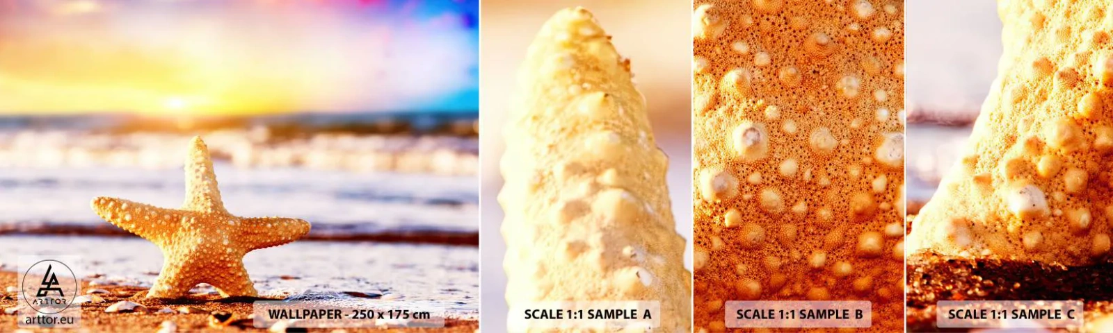 Fototapetenmuster Standard Eco - Meer Geschenk - Seestern, Strand, Ozean - 100x30 cm