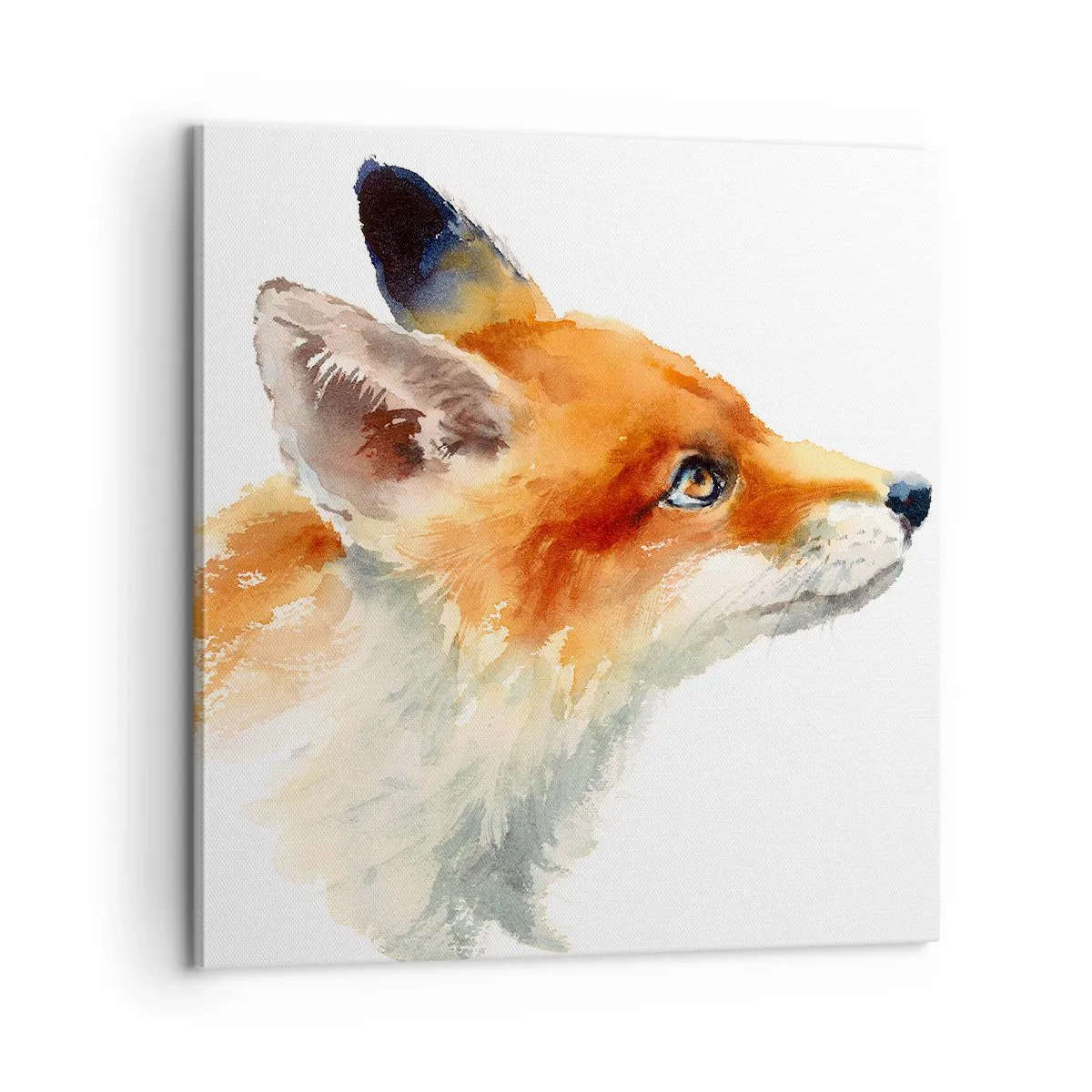 Bild auf Leinwand - Leinwandbild - Man kann nie vorsichtig genug sein - 60x60 cm