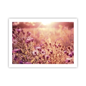 Poster - Bevor der Sommer vorbei ist - 70x50 cm
