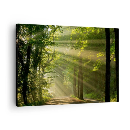 Bild auf Leinwand - Leinwandbild - Waldweg mit Sonnenstrahlen, die durch die Bäume scheinen - 70x50cm - Waldmoment - Moderne Wanddekoration für Wohnzimmer und Schlafzimmer ARTTOR