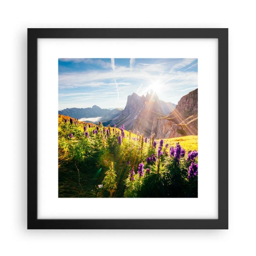 Poster in einem schwarzem Rahmen - Das geheime Leben der Kräuter - 30x30 cm