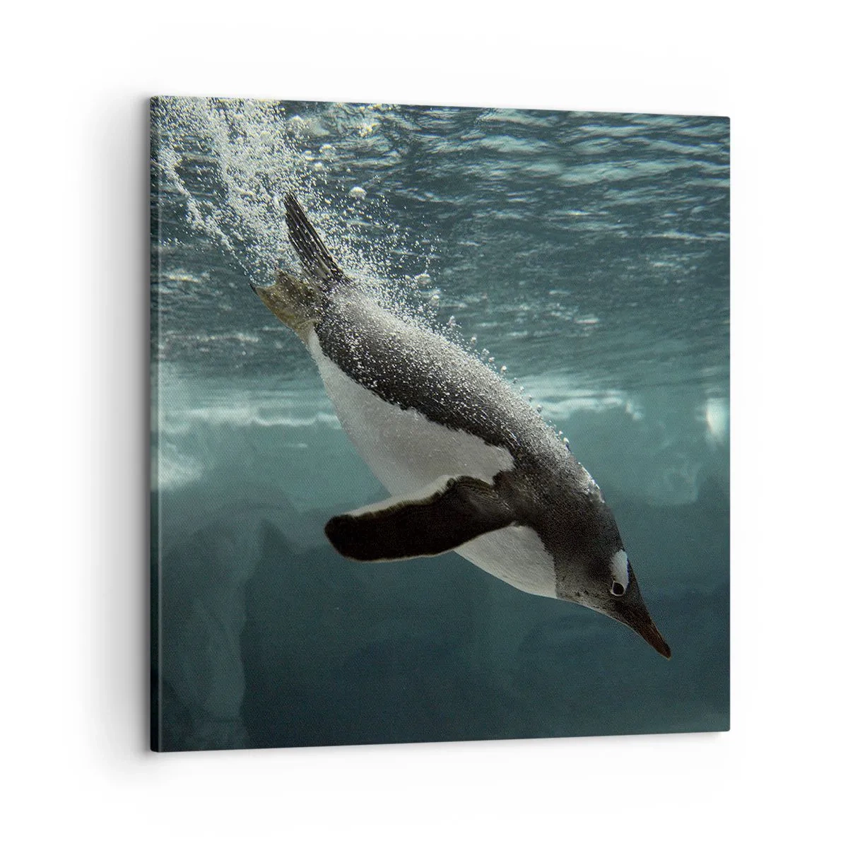 Bild auf Leinwand - Leinwandbild - Willkommen in meiner Welt - 60x60 cm