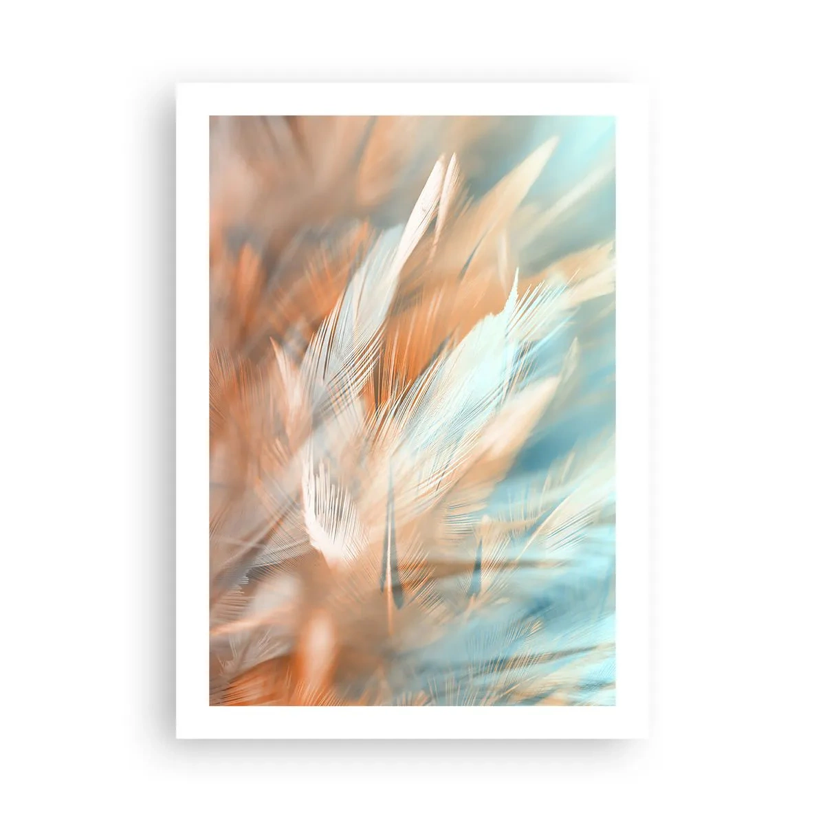 Poster - Zarte Federn in Blau- und Pfirsichtönen - 50x70cm - Im Land der Sanftmut - Moderne Wanddekoration für Wohnzimmer und Schlafzimmer ARTTOR