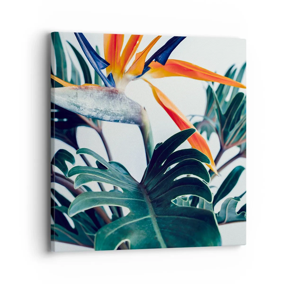 Bild auf Leinwand - Leinwandbild - Vogelbusch - 40x40 cm