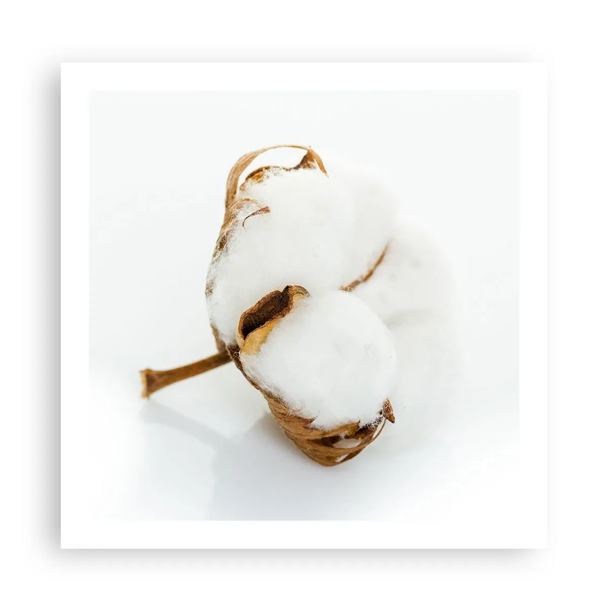 Poster - Von Natur aus weich - 60x60 cm