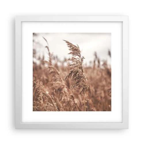 Poster in einem weißen Rahmen - Auf den Feldern ist es schon Herbst - 30x30 cm