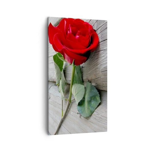 Bild auf Leinwand - Leinwandbild - Eine Studie in Scharlachrot - 45x80 cm