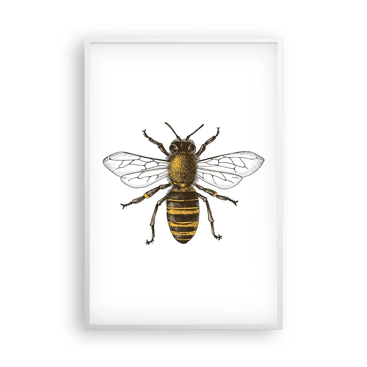 Poster in einem weißen Rahmen - Schön und gut - 61x91 cm