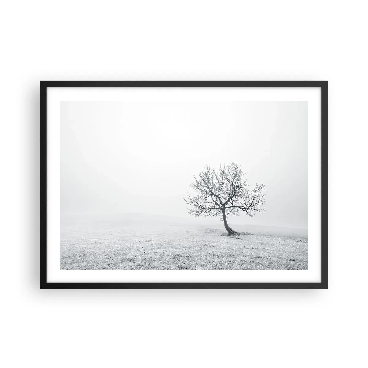Poster in einem schwarzem Rahmen - Ein einsamer Baum im Winternebel auf einem leeren Feld - 70x50cm - Gegen das Nichts - Moderne Wanddekoration für Wohnzimmer und Schlafzimmer ARTTOR