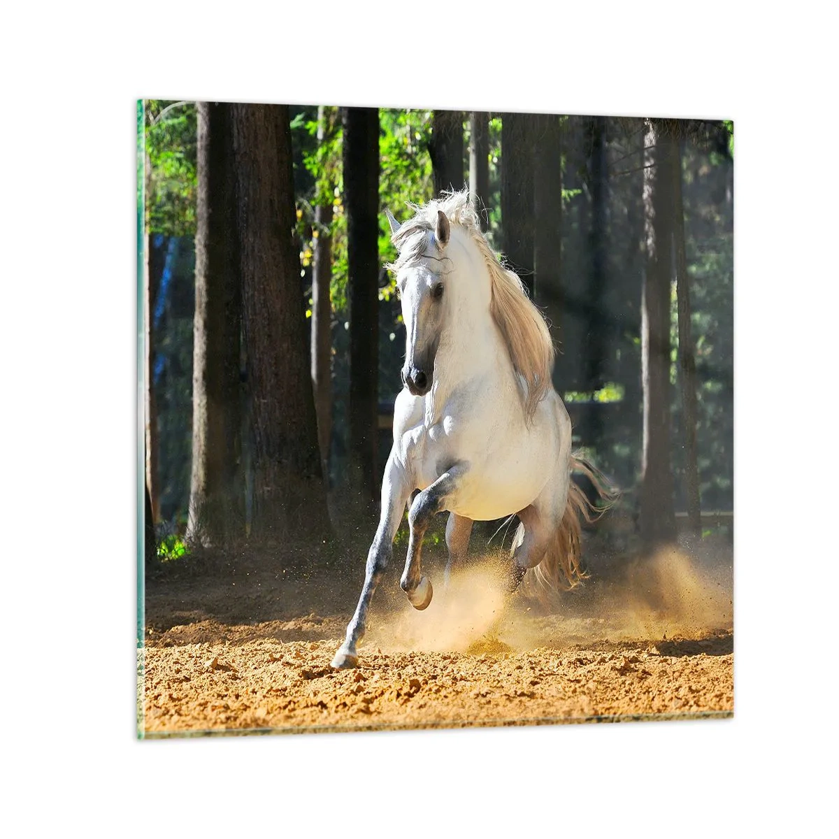 Glasbild - Bild auf glas - Wie aus einem Fantasy-Roman - 40x40 cm