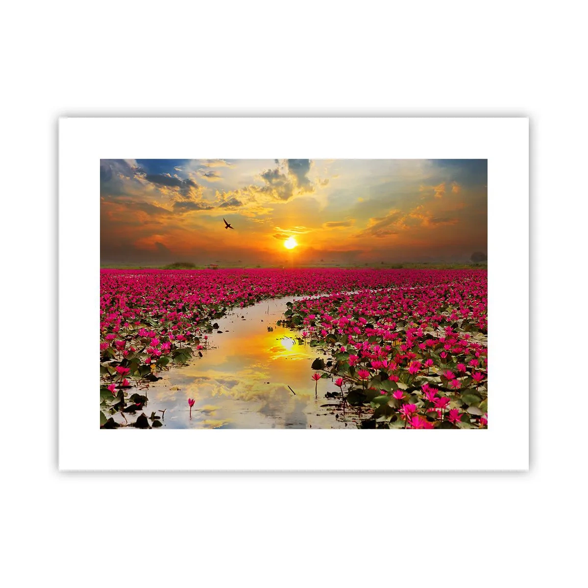 Poster - Das geheime Leben des Sees - 40x30 cm