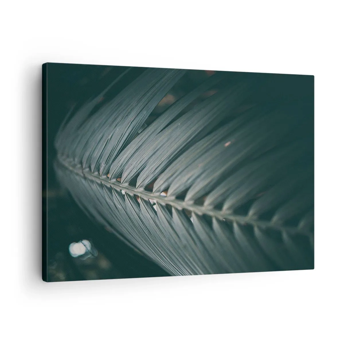 Bild auf Leinwand - Leinwandbild - Nahaufnahme eines dunkel getönten Palmblattdetails - 70x50cm - Die Präzision der Natur - Moderne Wanddekoration für Wohnzimmer und Schlafzimmer ARTTOR