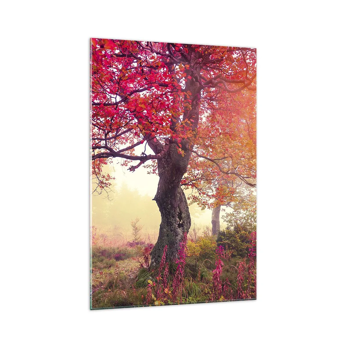 Glasbild - Bild auf glas - Herbstlandschaft mit Bäumen in intensiven Farben - 70x100cm - Blühende Raserei - Moderne Wanddekoration für Wohnzimmer und Schlafzimmer ARTTOR