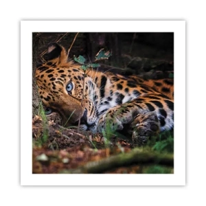 Poster - Vertrau mir - 50x50 cm